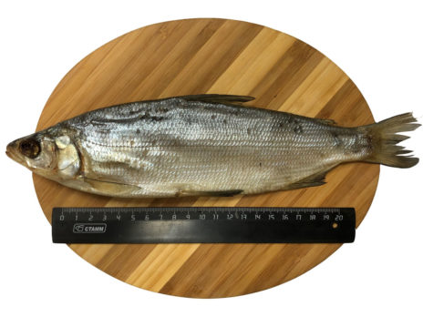 Рыба Сырок вяленый (500 гр.)